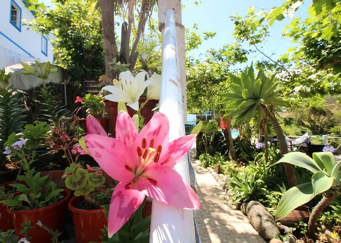 Quinta Do Canavial ゲストハウス ヴェーラス