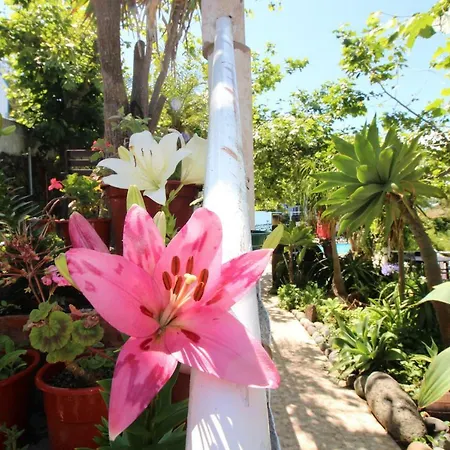 Quinta Do Canavial بيت ضيافة فيلاس